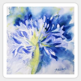 Agapanthus 1 Sticker